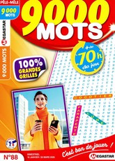 9000 mots