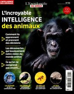 Le Sport Formule 1