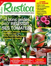 Rustica