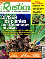 Rustica