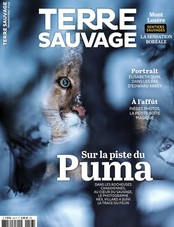 Terre Sauvage