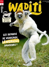 Wapiti
